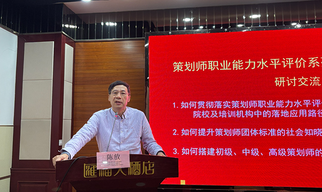 策划专业委员会副主席、欧盟中国产业规划院院长陈放教授